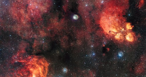 Europejskie Obserwatorium Południowe (ESO) opublikowało najnowsze i najdokładniejsze dotąd zdjęcie dwóch obłoków gazu i pyłu widocznych w gwiazdozbiorze Skorpiona. Obiekty oznaczone jako NGC 6334 i NGC 6357 ze względu na swój kształt nazywane są Mgławicą Kocia Łapa oraz Mgławicą Homar. Pierwsza z nich znajduje się 5500 lat świetlnych, druga w odległości 8000 lat świetlnych od Ziemi. Zdjęcie wykonane z pomocą należącego do ESO teleskopu VST, największego na świecie teleskopu, dedykowanego przeglądom nieba w zakresie światła widzialnego, ma około 2 miliardów pikseli i jest jednym z największych, kiedykolwiek opublikowanych przez ESO.