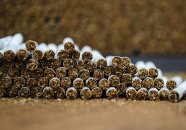 Przestępcy chcieli okraść... nielegalną fabrykę papierosów. CBŚP zatrzymało 16 osób