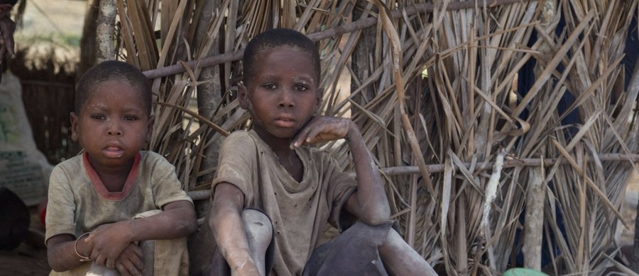 7,5 mln dzieci umiera z głodu. Najgorsza sytuacja jest w Jemenie, Nigerii, Sudanie Południowym i Somalii - alarmuje UNICEF. Saszetka pasty stosowanej w leczeniu niedożywienia kosztuje w przeliczeniu zaledwie 1,70 zł. UNICEF alarmuje, że 7,5 mln dzieci z 48 krajów świata stoi w obliczu ciężkiego ostrego niedożywienia. W Jemenie, Nigerii, Sudanie Południowym i Somalii odnotowano 4. stopień - w 5-stopniowej skali - zagrożenia bezpieczeństwa żywnościowego. Ostatni stopień oznacza klęskę głodu.