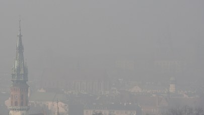 Policja kontra smog: Funkcjonariusze dostaną antysmogowe maski