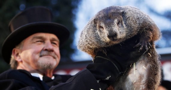 ​Najsłynniejszy amerykański świstak Phil w miejscowości Punxsutawney w Pensylwanii zobaczył swój cień. Wróży to, że zima potrwa jeszcze sześć tygodni.