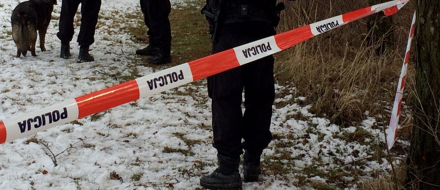 Nieprzytomny 13-latek został znaleziony w piątek popołudniu przy jednym z głównych deptaków w Wiśle w województwie śląskim. Mimo godzinnej reanimacji chłopiec zmarł w karetce – poinformował w sobotę rzecznik cieszyńskiej policji Rafał Domagała.