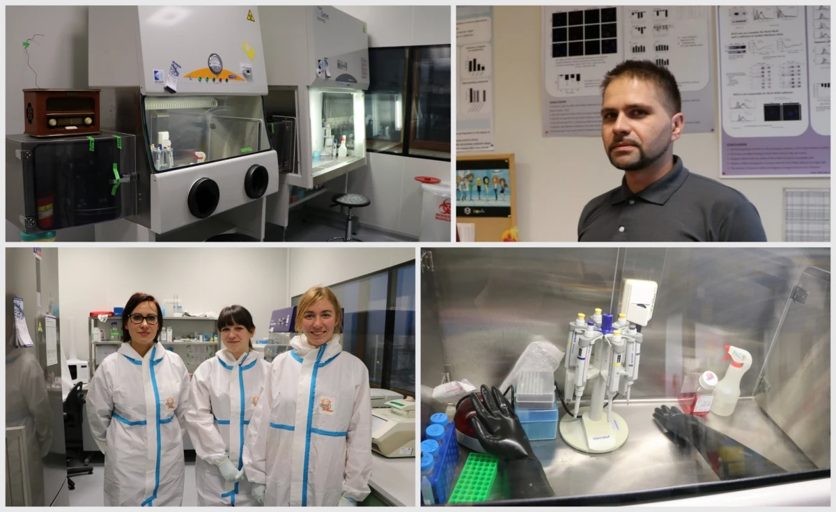 Miejsce, gdzie oddycha się najczystszym powietrzem w Krakowie jest nieprzypadkowo tym samym, w którym prowadzi się badania nad groźnymi dla naszego zdrowia patogenami. W cyklu Twoje Niesamowite Miejsce gościmy w Małopolskim Centrum Biotechnologii Uniwersytetu Jagiellońskiego, a dokładnie w najpilniej chronionym laboratorium 3 klasy bezpieczeństwa biologicznego (BSL-3). To tu prowadzi się badania nad groźnymi wirusami zapalenia wątroby czy Zika. Dostęp do laboratorium mają zaledwie trzy wysoko wykwalifikowane osoby. My korzystamy z zaproszenia w chwili, gdy bezpośrednio po dezynfekcji drzwi pracowni można na chwilę... uchylić. Taką dezynfekcję prowadzi się tylko 2-3 razy w roku.