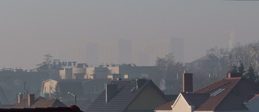 Narodowy Instytut Zdrowia Publicznego potwierdza statystyki Światowej Organizacji Zdrowia, według której rocznie przez choroby związane z zanieczyszczeniem powietrza przedwcześnie umiera ponad 40 tysięcy osób. To oznacza, że powietrze zabija rocznie dwa razy więcej Polaków niż łącznie ginie w wypadkach drogowych (ponad 3 tysiące), przez utonięcie (1 tysiąc), a także w wyniku zabójstw (pół tysiąca) i samobójstw (6 tysięcy).