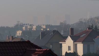 ​Co 15 minut ktoś w Polsce umiera przez zanieczyszczone powietrze