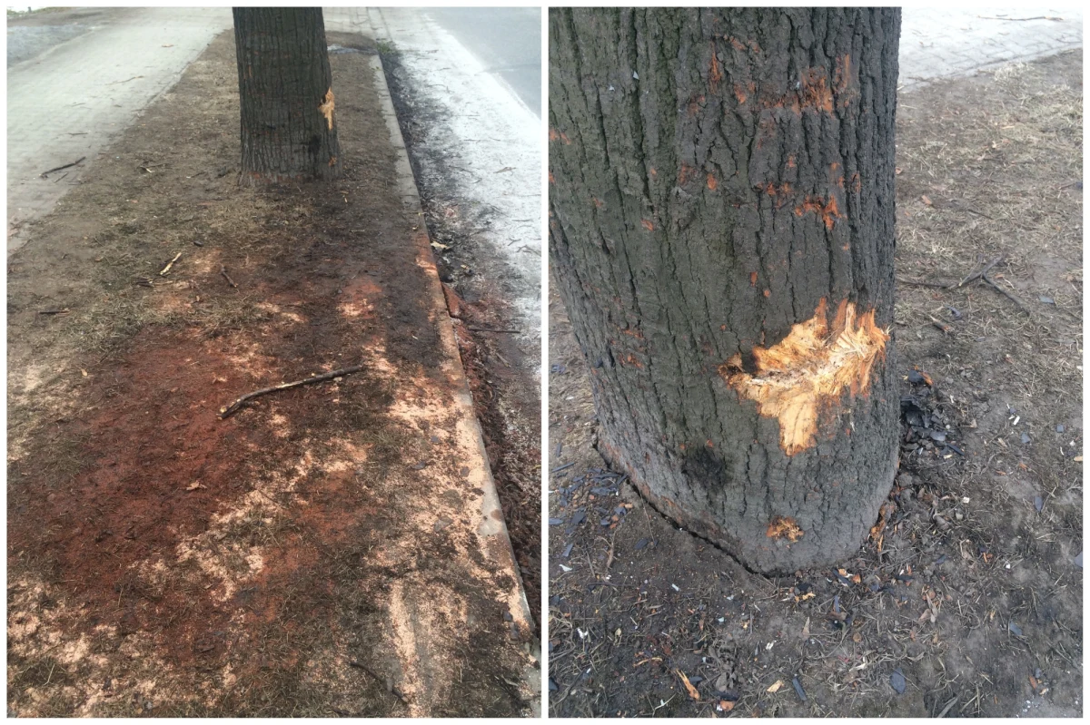 ​"Prawdopodobnie w czwartek będę w Krakowie w prokuraturze i będę odpowiadać na pytania w związku z kolizją z udziałem rządowej kolumny" - powiedziała premier Beata Szydło podczas konferencji w Kancelarii Prezesa Rady Ministrów.