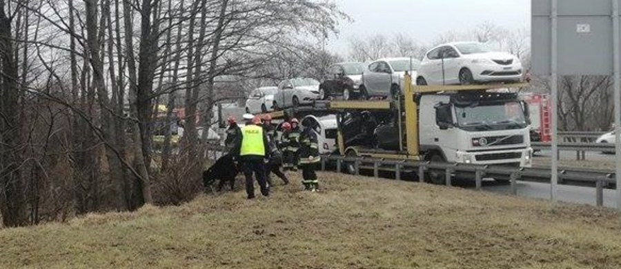 Nietypowa sytuacja na DK 1 w Tychach. Słuchacze zaalarmowali nas, że po drodze biegały byki. 