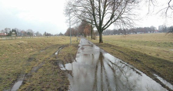 Kierowcy rozjeżdżają samochodami krakowskie Błonia - alarmujecie na Gorącą Linię RMF FM. Dzieje się tak od ponad tygodnia, kiedy zaczął się remont pobliskiego mostu przy ulicy Focha w Krakowie. Część kierowców chcąc uniknąć stania w korkach, skraca sobie drogę przez alejkę przeznaczoną dla spacerowiczów. 