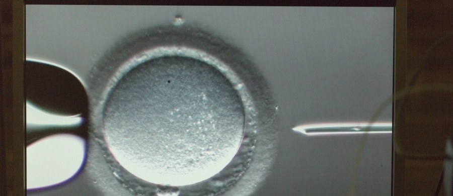 Miasto Gdańsk będzie dofinansować mieszkańcom koszty zabiegów in vitro. W latach 2017-2020 planuje wydać na ten cel cztery miliony złotych. Uchwałę w tej sprawie przyjęli miejscy radni. 
