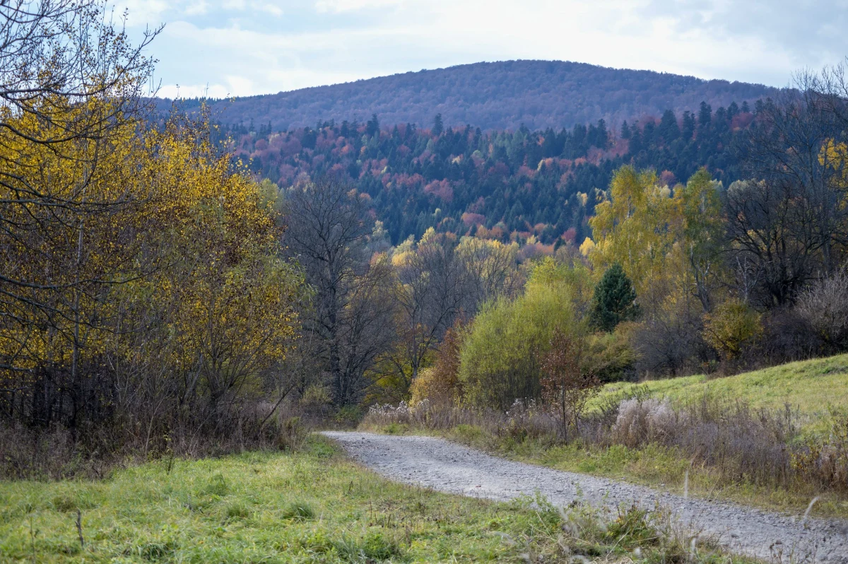 Za cierpienia Ukraińców odpowiedzialne są tak władze komunistyczne, narzucone przez Moskwę, jak i struktury UPA, które pod dowództwem Romana Szuchewycza i Mirosława Onyszkiewicza, rozpętały piekło na ziemi.