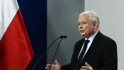 Kaczyński: Będzie poprawka do ustawy dot. wycinki drzew 