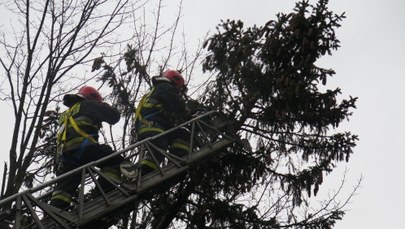 Wichury na Podkarpaciu: "Strażacy nie wracali do garaży", tysiące domów bez prądu