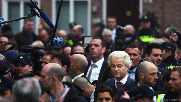 Na dwa tygodnie przed wyborami parlamentarnymi w Holandii skrajnie prawicowa, antyimigrancka Partia na rzecz Wolności (PVV) Geerta Wildersa spadła na drugie miejsce we wskaźniku sondażowym Peilingwijzer, stanowiącym uśrednienie wskazań z głównych badań opinii.