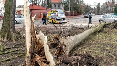 Wichury nad Polską: Wiatr łamał drzewa, zrywał dachy i linie energetyczne