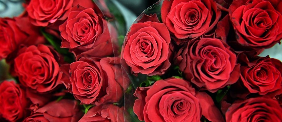 Rosyjskie użytkowniczki mediów społecznościowych mogą w Dniu Kobiet pochwalić się w internecie ogromnym bukietem, rzekomo otrzymanym od tajemniczego wielbiciela lub kochającego chłopaka. Stosowną usługę za niewielką opłatą oferują specjalne firmy.