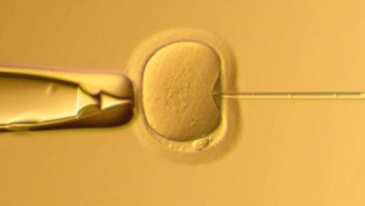 Pierwszy embrion skorygowany genetycznie