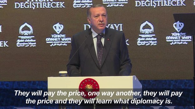 Występując na wiecu w prowincji Kocaeli w zachodniej Turcji, Erdogan powiedział, że Holandia zachowuje się jak "republika bananowa". Potępił także kraje Europy za to, że nie skrytykowały sposobu, w jaki Holandia potraktowała tureckich ministrów.

Wcześniej, podczas wystąpienia w Stambule, Erdogan mówił, że Holandia "zapłaci wysoką cenę i nauczy się, czym jest dyplomacja".