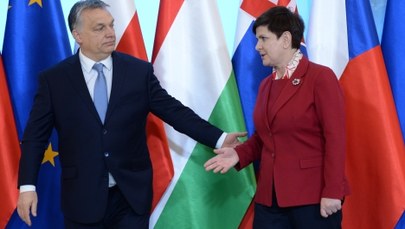 Premier Szydło już przed szczytem wiedziała, że Orban nie poprze Saryusz-Wolskiego