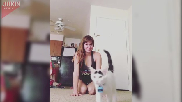 Dziewczyna postanowił poćwiczyć jogę w swoim salonie. Myślała, że kot, który kręcił się w pobliżu, da jej spokój. Szybko przekonała się jednak, że nie był to dobry pomysł.