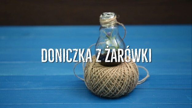 Stare żarówki, te, które mają klasyczny kształt bańki, mogą posłużyć do zrobienia niesamowicie wyglądających dekoracji, które zachwycą wszystkich! Przepalone żarówki idealnie nadają się na zrobienie z nich malutkich doniczek dla niewielkich roślin - będą genialnie wyglądały we właściwie każdym nowoczesnym wnętrzu! Przygotowanie takich ozdób wbrew pozorom jest naprawdę proste. Jeśli więc macie stare, niepotrzebne żarówki, które chcieliście oddać do recyklingu - spróbujcie je przemienić te małe doniczki!