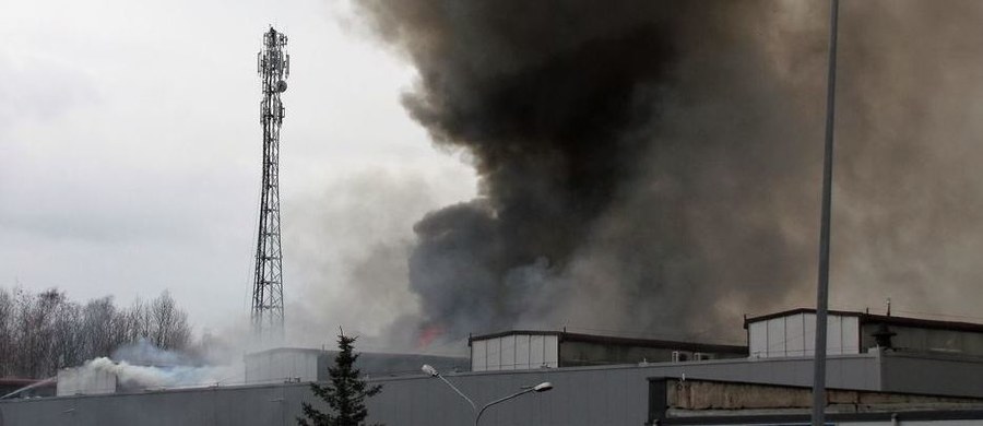 Nawet kilka milionów złotych mogą wynieść straty po wczorajszym pożarze hali w Świebodzicach na Dolnym Śląsku. W budynku działało kilka firm. Spłonęła jedna czwarta hali liczącej blisko dziesięć tysięcy metrów kwadratowych.