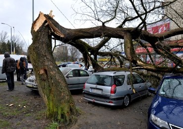 Wichury nad Polską. Silny wiatr łamał drzewa
