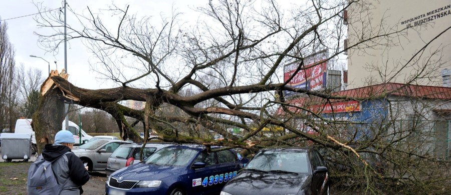 Już tylko ok. 3000 odbiorców czeka na przywrócenie dostaw prądu - taką informację podało Rządowe Centrum Bezpieczeństwa. Uszkodzenia to efekt sobotnich wichur. 