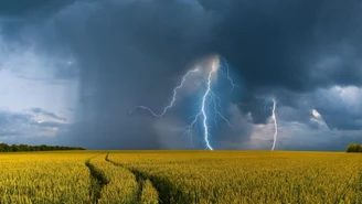 Niepokojący raport Światowej Organizacji Meteorologicznej dotyczący pogody w 2016 r. 