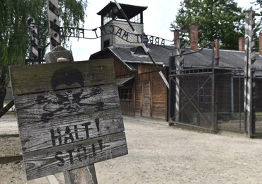 Skandal w Auschwitz. Rozebrali się do naga, zabili owcę i skuli się łańcuchem