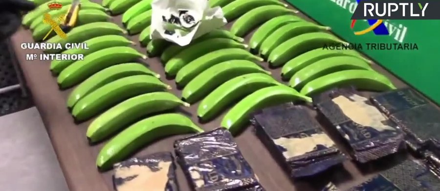 Hiszpańska policja odkryła 17 kilogramów kokainy w kontenerze z bananami. 7 kilogramów narkotyków było ukrytych w sztucznych owocach, a kolejne 10 kilogramów było schowanych wewnątrz kartonów.