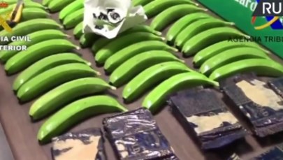 Przemytnicy ukryli kokainę... w sztucznych bananach