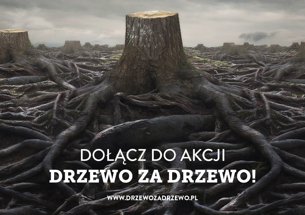 Ma uświadamiać, jak wielkim zagrożeniem jest beztroska wycinka drzew, i zachęcać do sadzenia nowych. Kraków wystartował właśnie z nową społeczną kampanią "Drzewo za drzewo": "Nie wycinaj. Musisz? Posadź nowe".