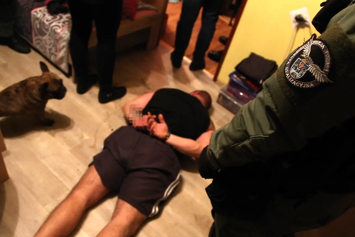 4 mężczyzn trudniących się produkcją, przemytem i handlem amfetaminą na wielką skalę zatrzymali holenderscy policjanci we współpracy z poznańskim CBŚP. Funkcjonariusze ustalili, że zorganizowana grupa przestępcza, w której skład wchodziło 50 osób, wprowadziła na polski rynek co najmniej 100 kg amfetaminy, a także haszysz, marihuanę i ekstazy.