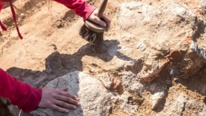 Niezwykłe odkrycie w Borach Dolnośląskich. Archeolodzy natrafili na zaginiony zamek 