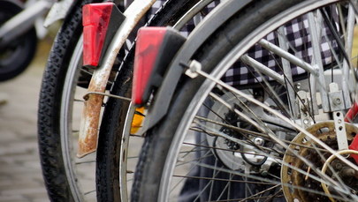 Polska ekipa kolarska odzyskała skradzione w Holandii rowery