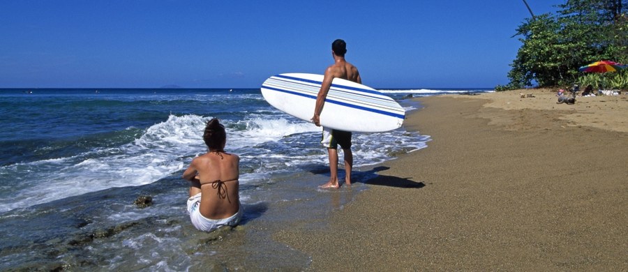 17-letnia surferka została zaatakowana przez rekina na południowym zachodzie Australii na oczach bezsilnych krewnych, którzy obserwowali wszystko z brzegu. Ciężko ranna dziewczyna zmarła w szpitalu.