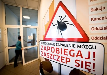 Kleszcze: Fakty i mity 