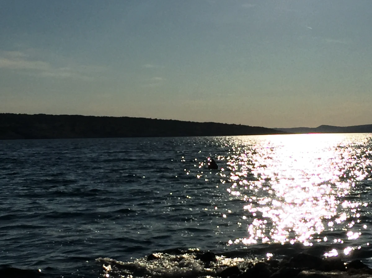 Holandia jeszcze tego lata zamierza wyłowić z dna Morza Północnego ładunek statku „De Rooswijk”, który zatonął w 1740 roku w pobliżu Kent w Anglii. Operacja, w którą zaangażowanych jest 50 badaczy, będzie kosztować około 2 milionów euro. 