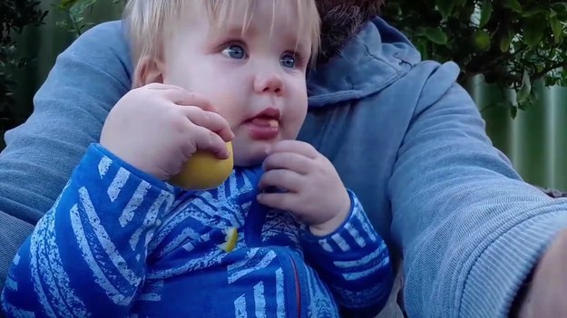 Ojciec tej małej dziewczynki był totalnie zaskoczony, gdy jego córa wzięła cytrynę i  - bez skrzywienia - zaczęła ją jeść jakby to było zwykłe jabłko. Zobaczcie.
