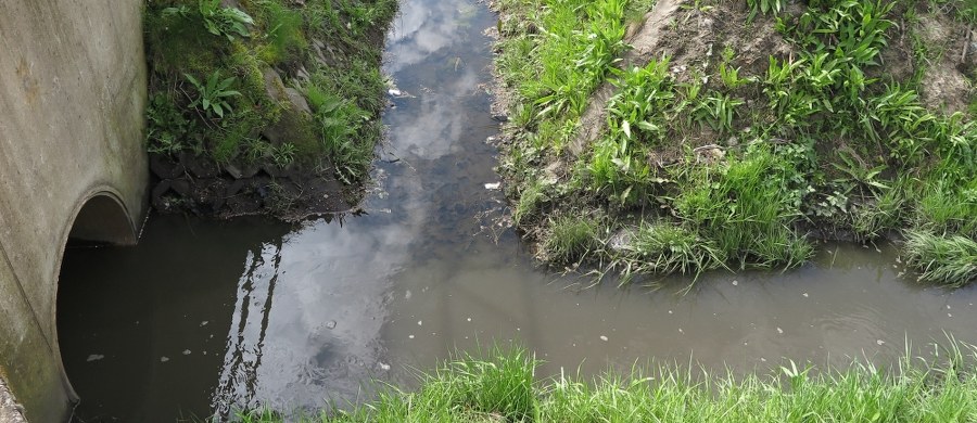 ​Wiosenne porządki w Szczecinie już zrobione. Po prośbach lokalnych radnych i interwencji reporterki RMF FM Anety Łuczkowskiej z rzeczki Bukowej zniknęły śmieci. Do niewielkiego strumyka na szczecińskim Krzekowie ktoś wrzucił odpady budowlane. 