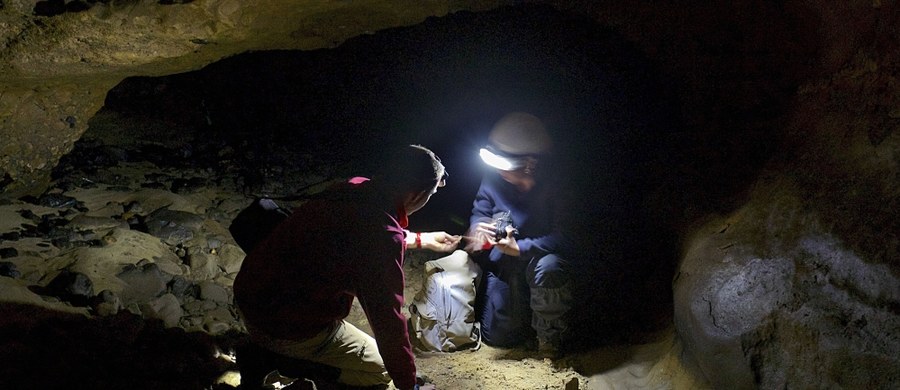 Badacze znaleźli materiał genetyczny w próbkach osadu zebranego z siedmiu miejsc archeologicznych. Odkrycie może pomóc odsłonić nowe fakty o pradawnych mieszkańcach tamtejszych rejonów. "To ogromny przełom naukowy" - mówi Antonio Rosas, naukowiec hiszpańskiego Muzeum Nauk Przyrodniczych.