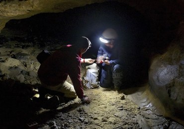 DNA pradawnych ludzi w jaskiniach. Przełomowe znalezisko