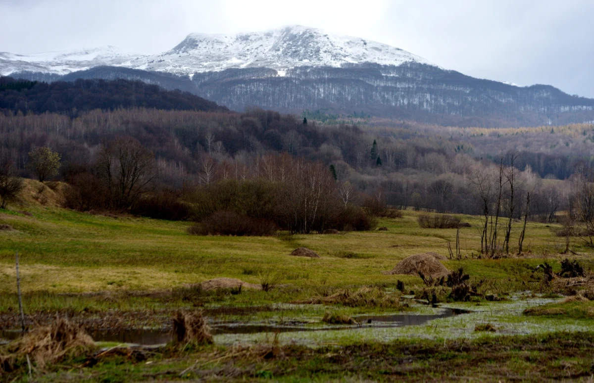 Plecak, mapa, droga na szczyt... Dla wielu to przepis na udaną majówkę. Niektórzy podczas długiego weekendu z pewnością dołożą kolejne wierzchołki do Korony Gór Polski. Składa się na nią 28 najwyższych szczytów wszystkich polskich pasm górskich. Idea ich zdobywania zrodziła się 20 lat temu i przerosła oczekiwania. "Nie chodzi tylko o to, by zaliczyć wierzchołki, ale także o to, by zobaczyć bogactwo kulturowe regionów. I do tego najbardziej wszystkich zachęcamy" - mówi w rozmowie z RMF FM Łukasz Lis, szef Klubu Zdobywców Korony Gór Polski.