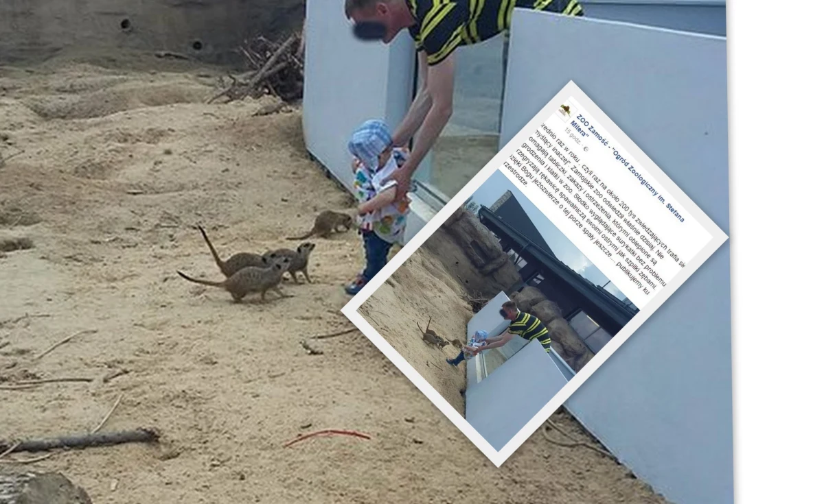"Średnio raz w roku, czyli raz na około 200 tys. zwiedzających trafia się "myślący inaczej". Zamojskie zoo odwiedził właśnie dzisiaj" - tak zaczyna swój wpis na Facebooku zoo w Zamościu. Ogród opublikował zdjęcie, na którym mężczyzna wkłada do wybiegu z surykatkami małe dziecko.