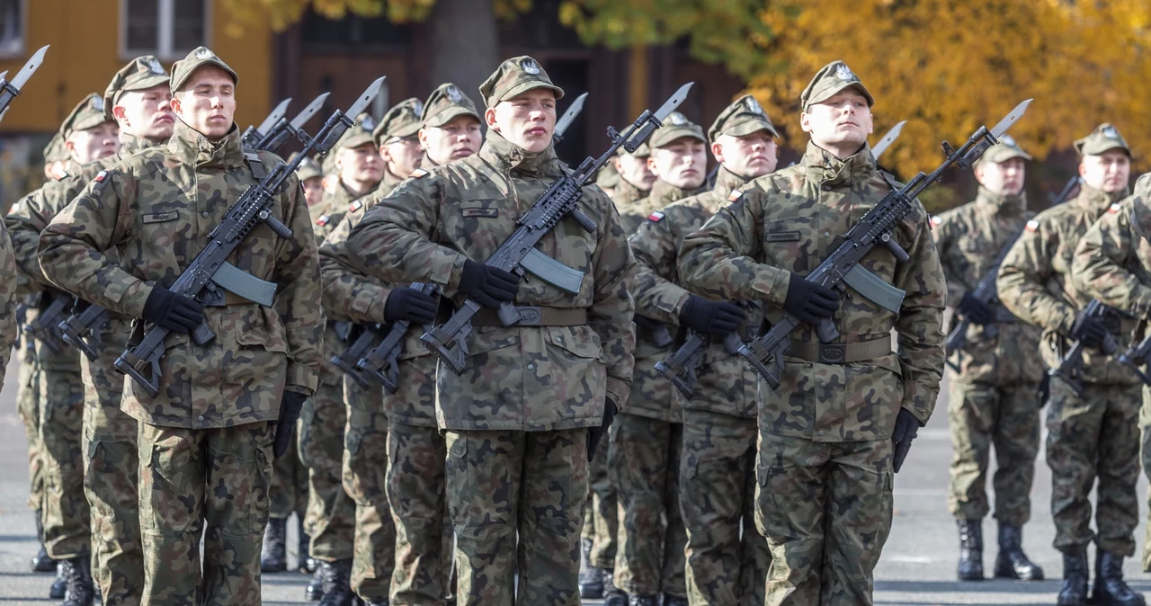 Żołnierze Wojsk Obrony Terytorialnej 