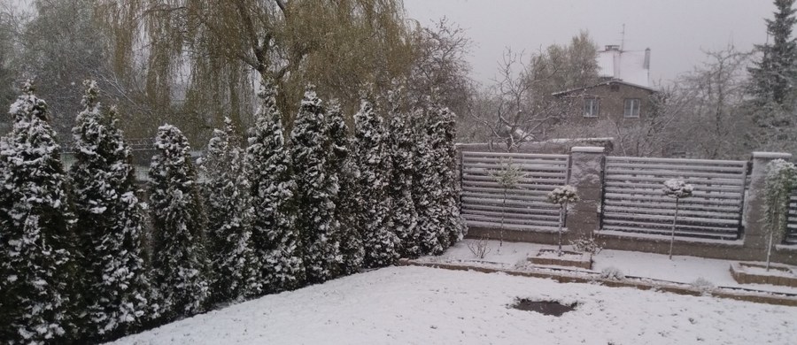 Choć w kalendarzu mamy 10 maja, mieszkańcy Pomorza mogą dziś poczuć się jak w zimie. Od rana śnieg pada m.in. w Trójmieście. Według synoptyków, ma dołączyć do niego również deszcz. 