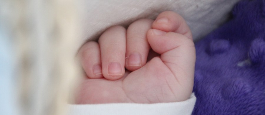 Chcemy, aby każda polska rodzina mogła umieścić dziecko w żłobku, jeżeli chce to zrobić, a ponoszona przez nią opłata nie pochłaniała większości domowego budżetu - zadeklarowała szefowa resortu pracy, rodziny i polityki społecznej Elżbieta Rafalska, zapowiadając zmiany w tzw. ustawie żłobkowej. Pod koniec kwietnia ministerstwo skierowało do konsultacji projekt nowelizacji niektórych ustaw związanych z systemami wsparcia rodzin - zaproponowane w nim rozwiązania są efektem przeglądu systemu wsparcia rodzin, do którego zobowiązała rząd ustawa wprowadzająca program Rodzina 500+. W projekcie zaproponowano m.in. zmiany w ustawie o opiece nad dziećmi w wieku do lat 3.