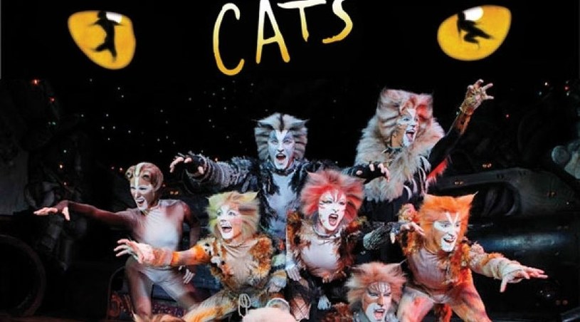 Ten musical to fenomen na światową skalę. Na Broadwayu jest wystawiany nieprzerwanie od 18 lat, w londyńskim West Endzie od 21. Na całym świecie "Cats" obejrzało  ponad 50 milionów widzów! W piątek, 12 maja, artyści z Broadwayu w finale "Tańca z Gwiazdami" zaprezentują jego fragment wraz ze światowym hitem - piosenką "Memory".