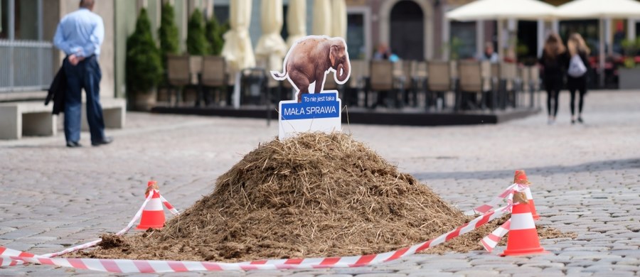 Poznańskie chodniki i trawniki zanieczyszcza tyle odchodów, ile codziennie mogłoby zostawiać po sobie 50 słoni - przekonują organizatorzy akcji, która ma uczulać na problem sprzątania po psach. Od kilku dni w różnych częściach miasta leżą sterty odchodów słoni. 