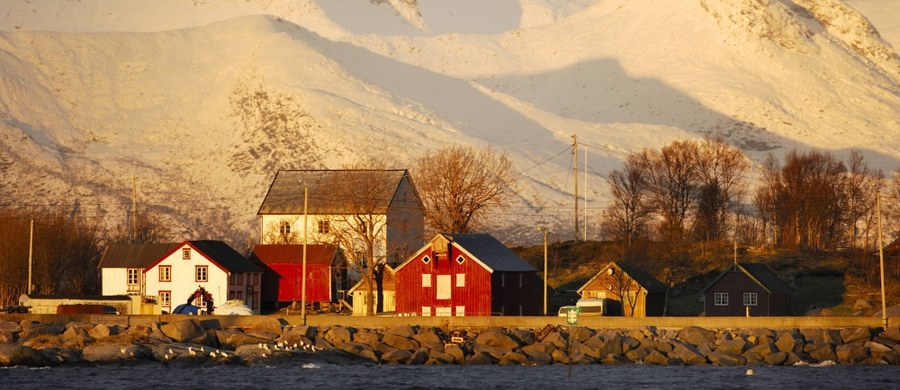 Norweska policja prowadzi dochodzenie w sprawie wykorzystywania seksualnego około 70 dzieci, w większości dziewczynek poniżej 16. roku życia. Główny oskarżony to 40-letni mężczyzna, jednak według śledczych, podejrzanych jest w sumie około 80 mężczyzn. Wszyscy byli członkami sekty religijnej działającej na gminy Tysfjord – pisze gazeta VG.
